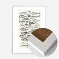White Wood Frame