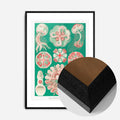 Black Wood Frame