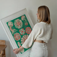 Jellyfish Green and Pink Vintage Antique Print