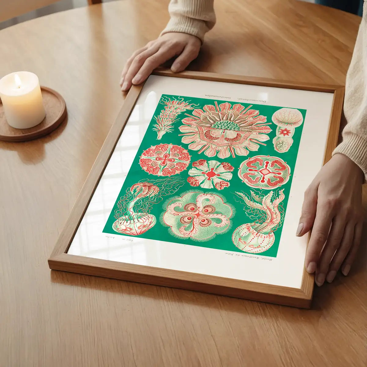 Jellyfish Green and Pink Vintage Antique Print