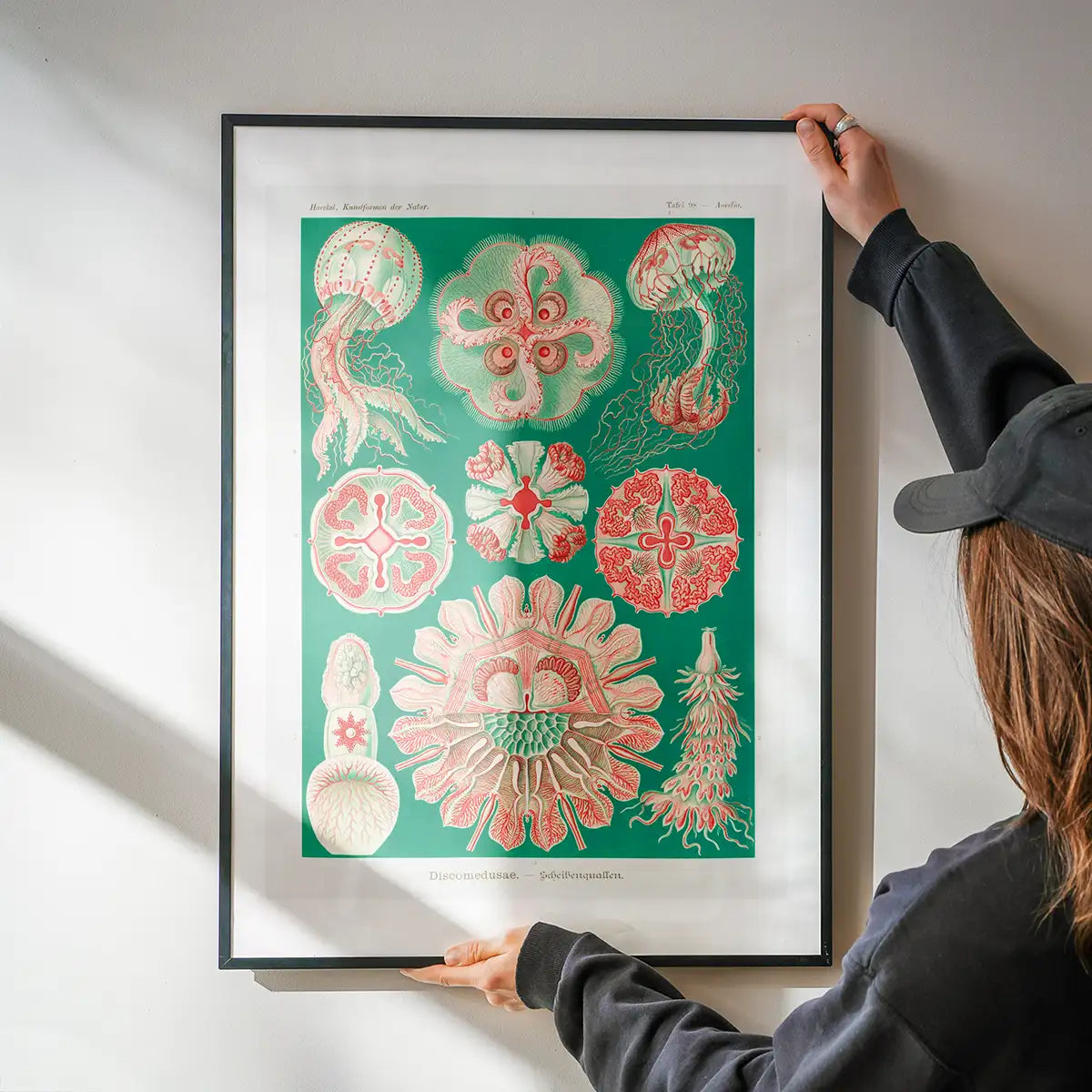 Jellyfish Green and Pink Vintage Antique Print