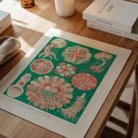Jellyfish Green and Pink Vintage Antique Print