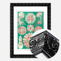 Black Ornate Frame