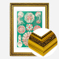 Gold Ornate Frame