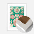 White Wood Frame