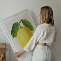 Large Lemon Vintage Antique Print