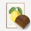 Oak Wood Frame