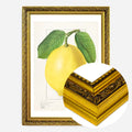 Gold Ornate Frame