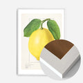 White Wood Frame