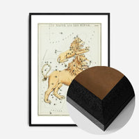 Leo Major And Leo Minor Astrology Antique Print