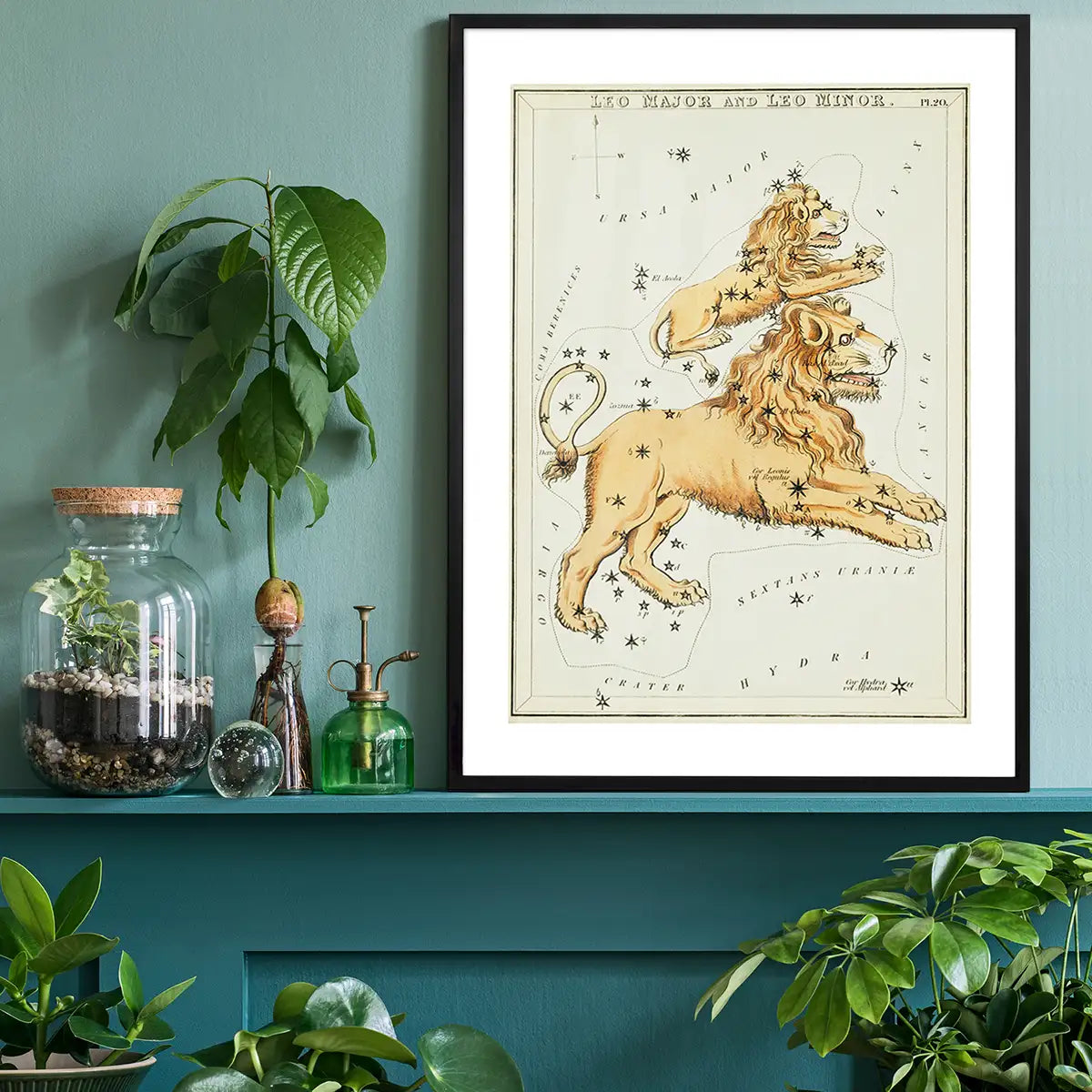 Leo Major And Leo Minor Astrology Antique Print