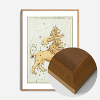 Leo Major And Leo Minor Astrology Antique Print