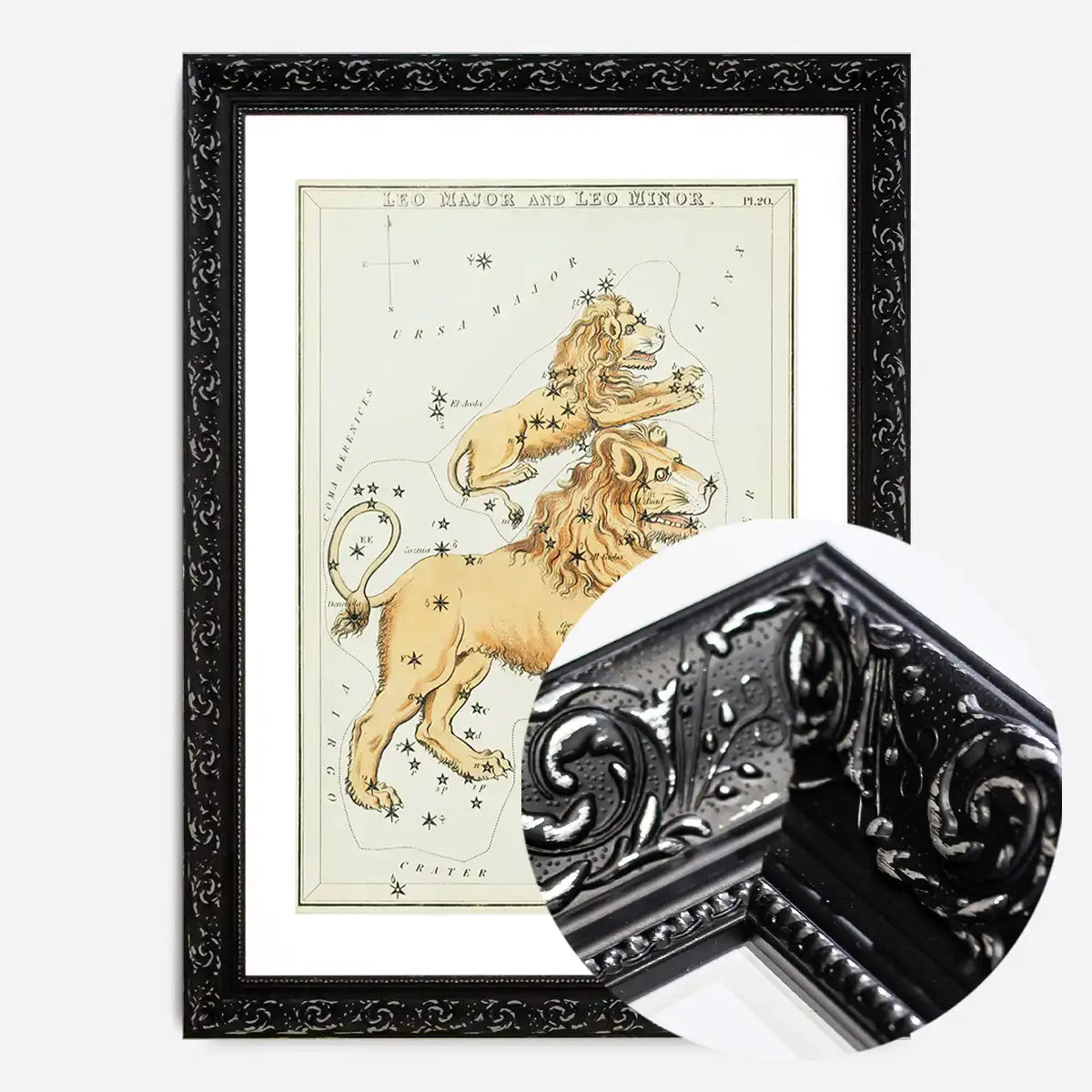 Leo Major And Leo Minor Astrology Antique Print