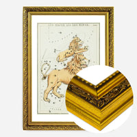 Leo Major And Leo Minor Astrology Antique Print