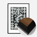 Black Wood Frame