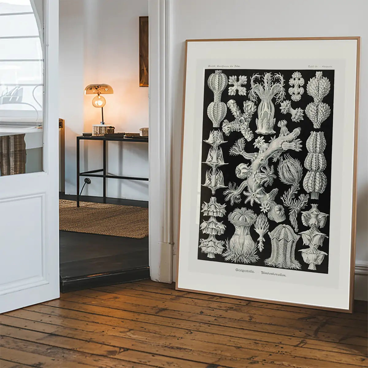 Corals Black and White Antique Print