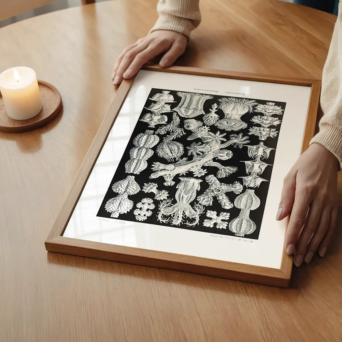 Corals Black and White Antique Print