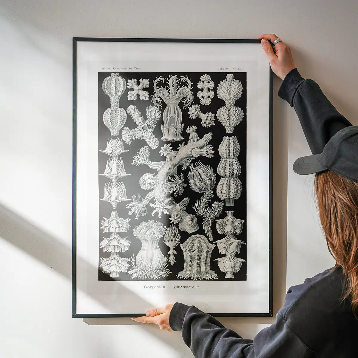 Corals Black and White Antique Print