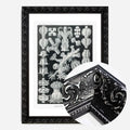 Black Ornate Frame