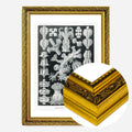 Gold Ornate Frame