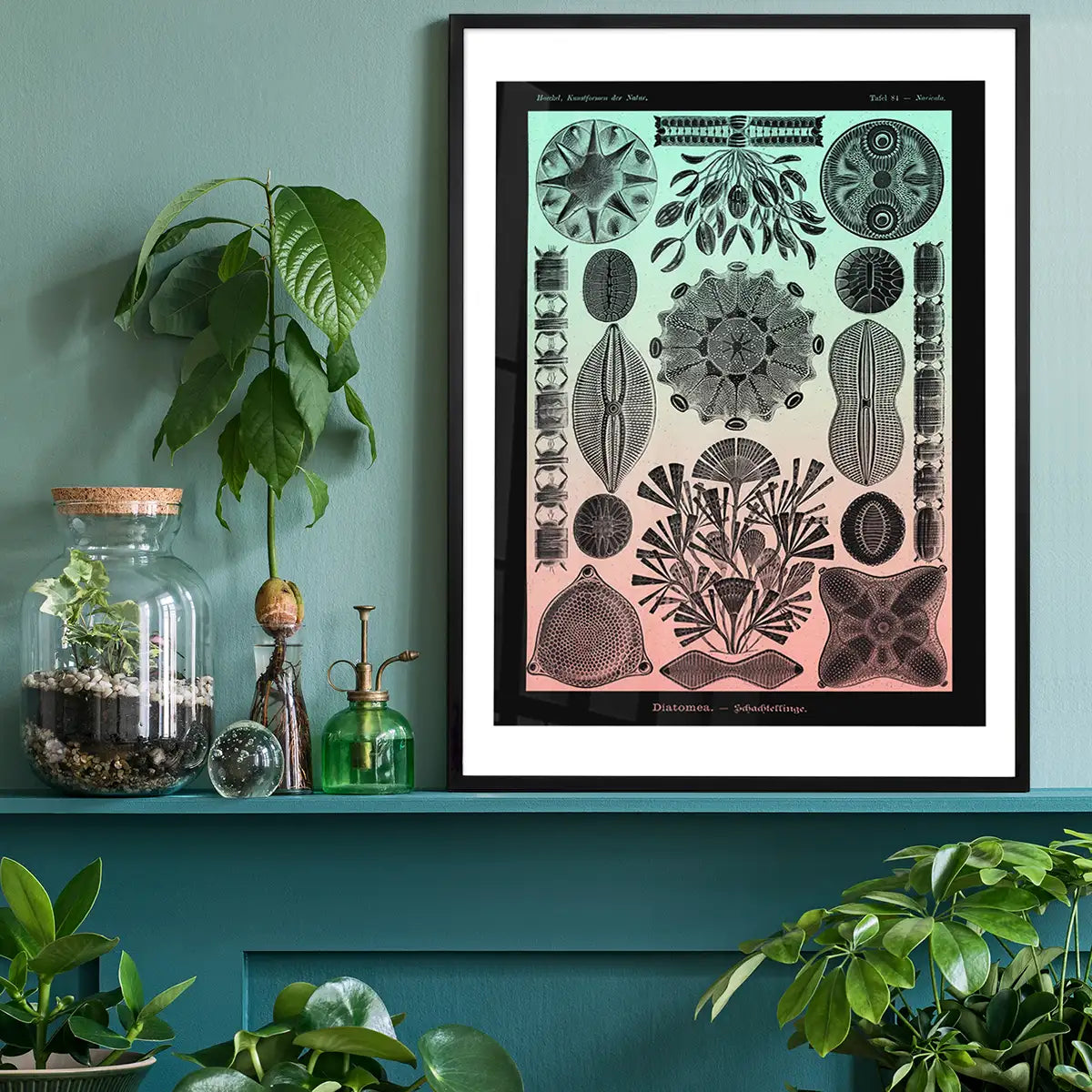 Marine Life Pink and Green Vintage Antique Print