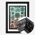 Black Ornate Frame