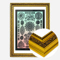 Gold Ornate Frame
