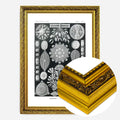 Gold Ornate Frame