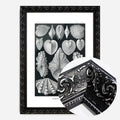 Black Ornate Frame