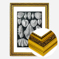 Gold Ornate Frame