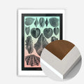 White Wood Frame