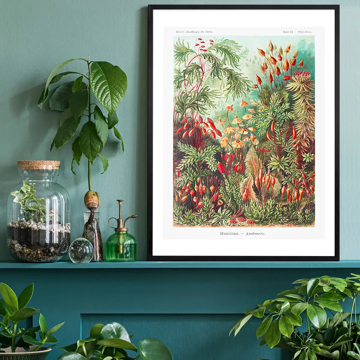 Mushroom Forest Vintage Antique Print