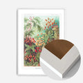 White Wood Frame