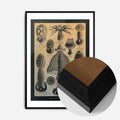 Black Wood Frame