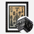 Black Ornate Frame