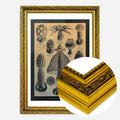 Gold Ornate Frame