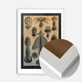 White Wood Frame