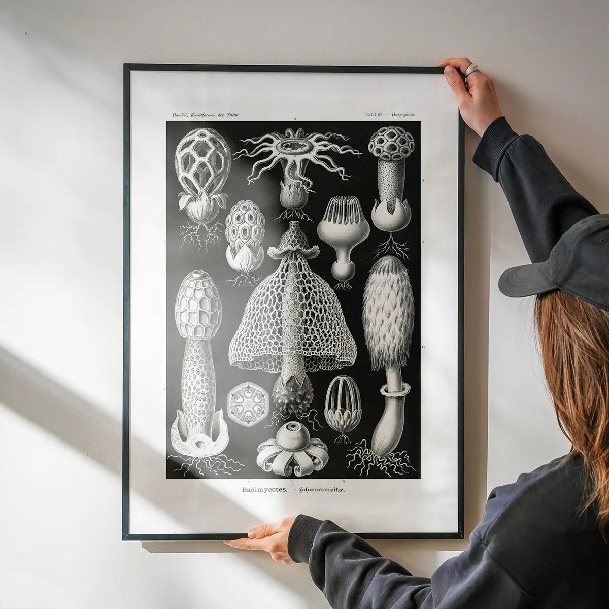 Mushrooms Diagram Black and White Vintage Antique Print
