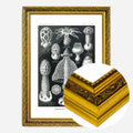 Gold Ornate Frame