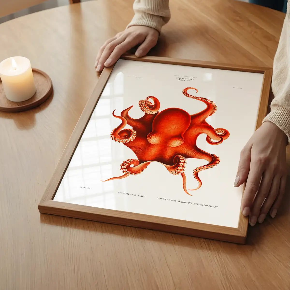 Octopus Vintage Antique Print