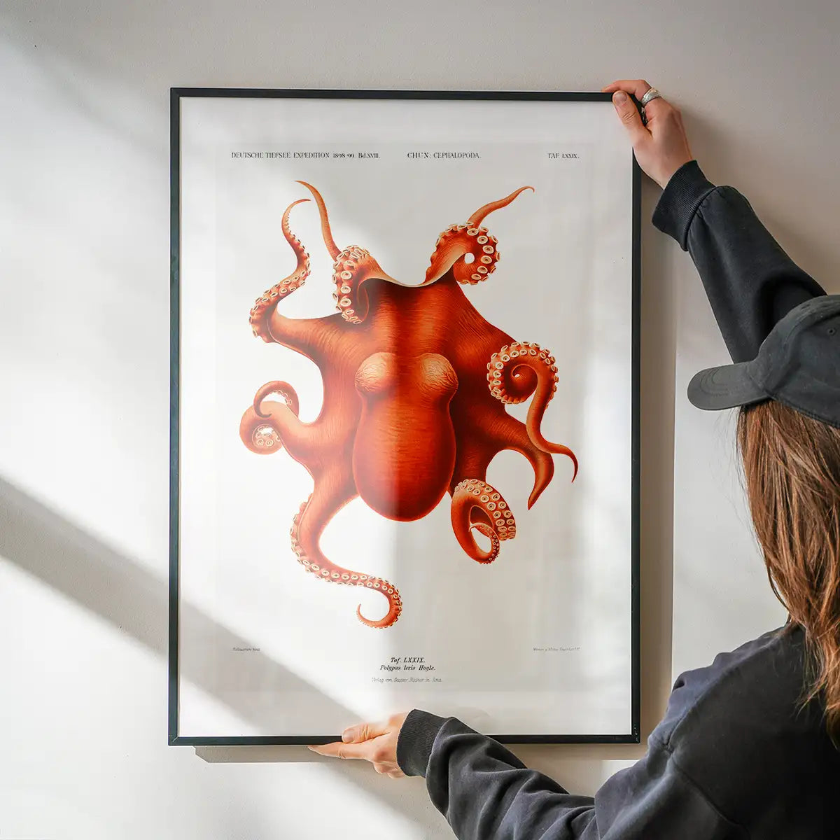 Octopus Vintage Antique Print