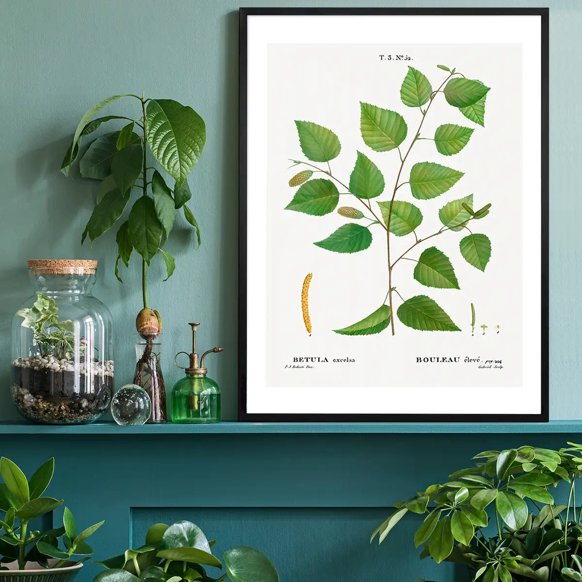 Paper Birch Branch Leaves Antique Print