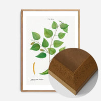 Paper Birch Branch Leaves Antique Print