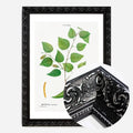 Black Ornate Frame