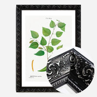 Paper Birch Branch Leaves Antique Print