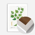 White Wood Frame