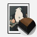 Black Wood Frame