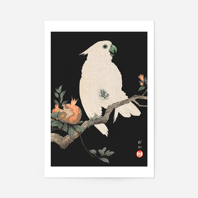 Cockatoo Parrot Antique Japanese Print