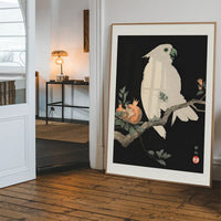 Cockatoo Parrot Antique Japanese Print