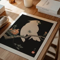 Cockatoo Parrot Antique Japanese Print